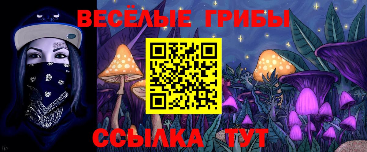 Галлюциногенные грибы прущие грибы Ногинск