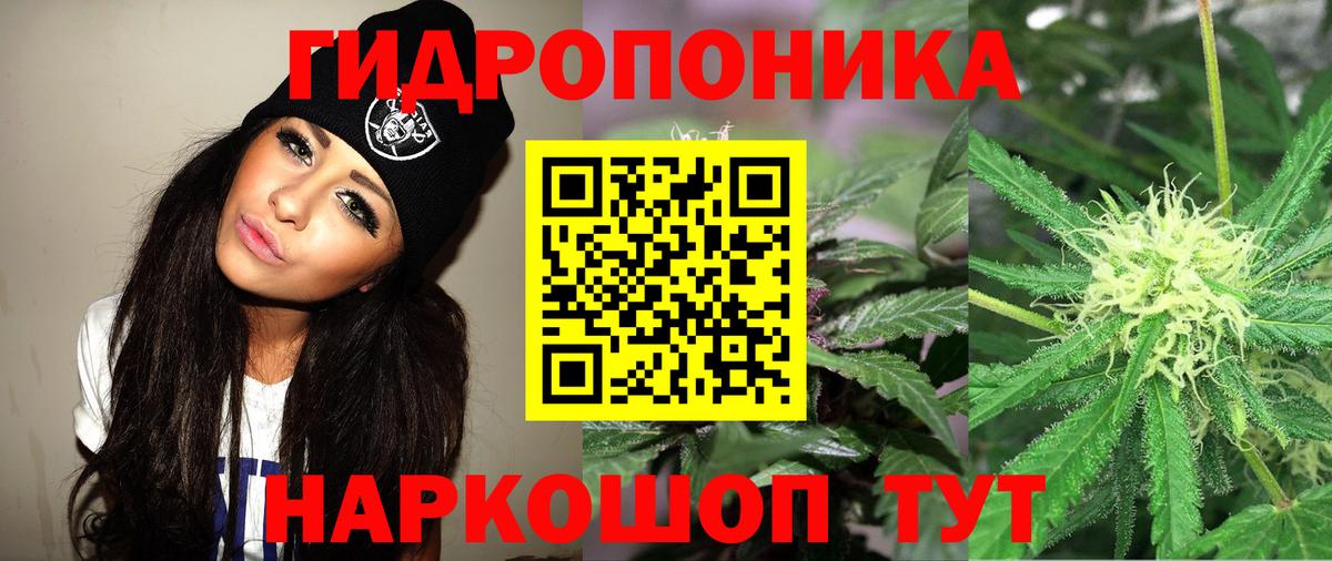 Марихуана MAZAR  Бошки Шишки OG Kush  Ногинск  Вход с VPN 